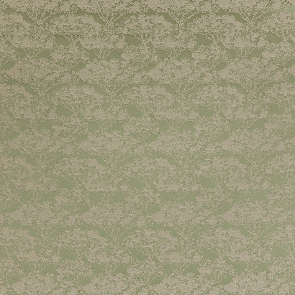 iLiv Kumo Willow