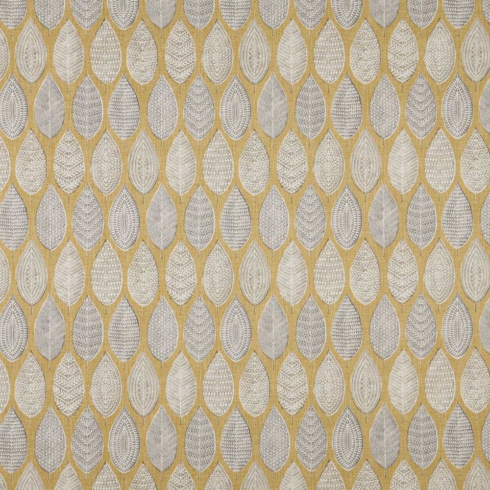 iLiv Malabar Quince