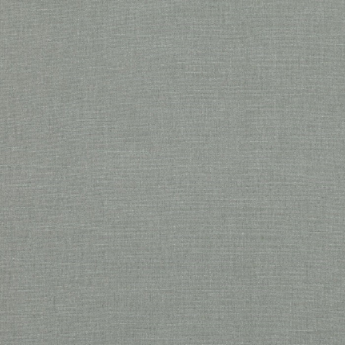 Romo Linara Fossil