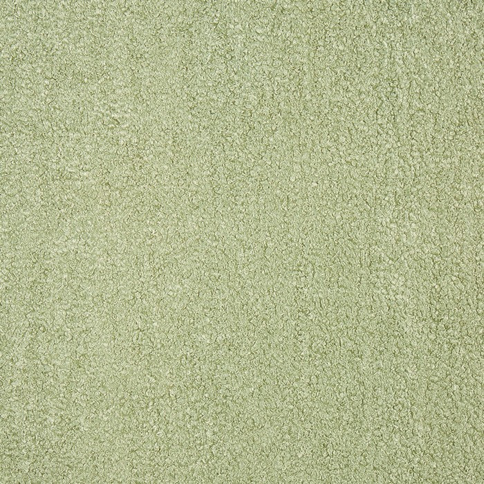 Prestigious Textiles Fergus Basil