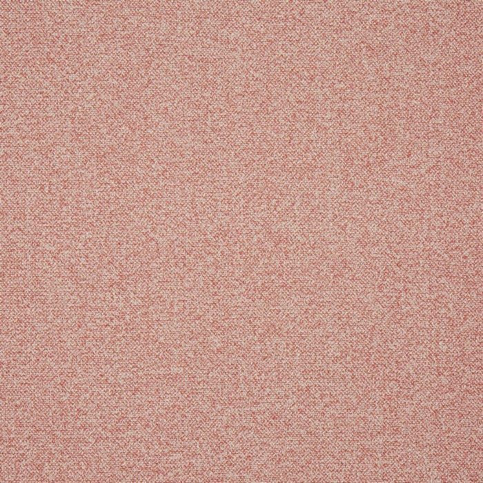 Prestigious Textiles Robertson Petal