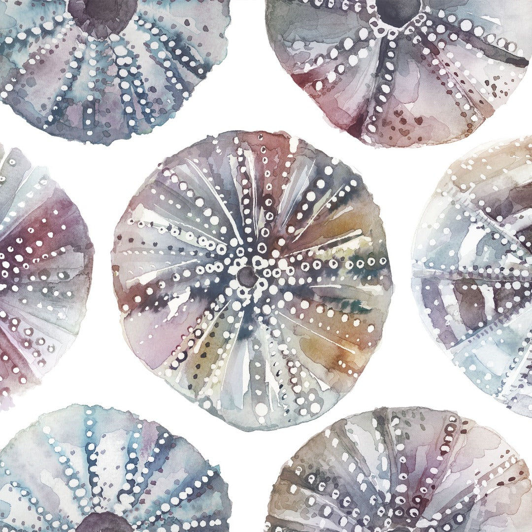 Voyage Maison Sea Urchins Abalone