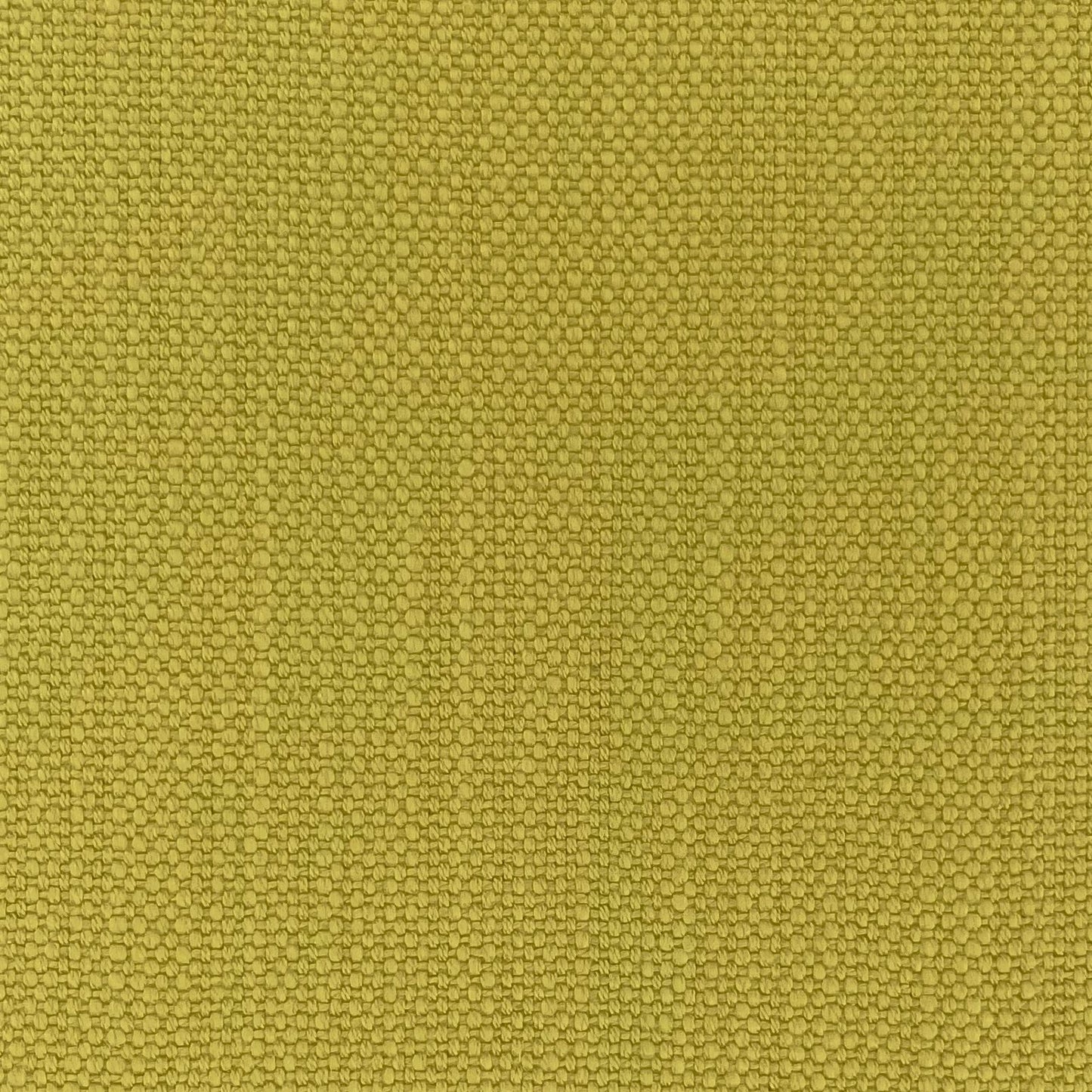 Chatham Glyn Pimlico Dried Moss