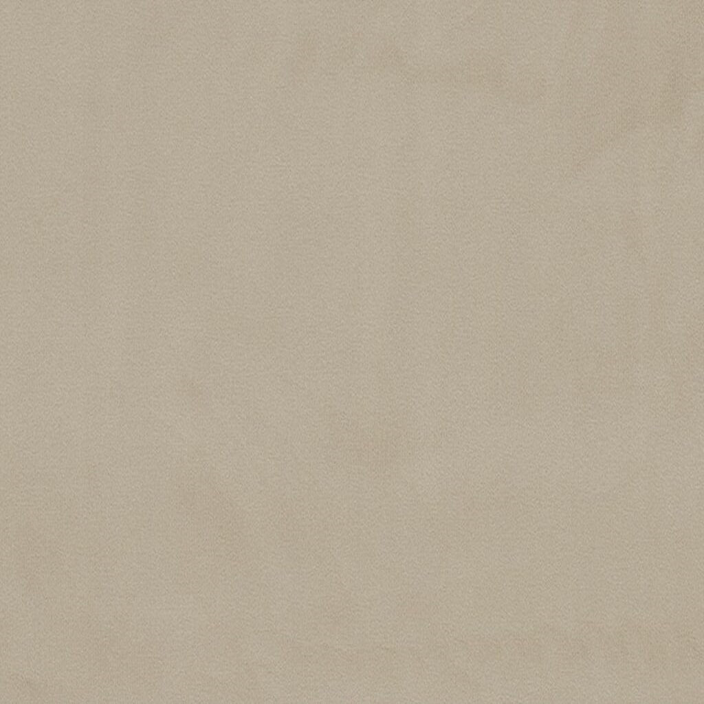 Clarissa Hulse Tisbury Shell