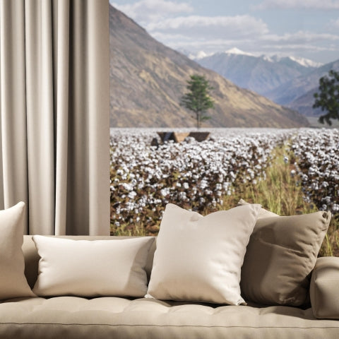 Warwick Oxford Optic