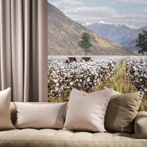 Warwick Oxford Mist