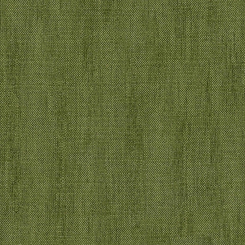 Warwick Parker Kermit