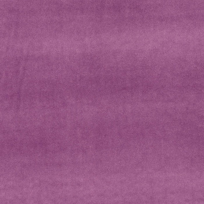 Clarke & Clarke Alvar Heather