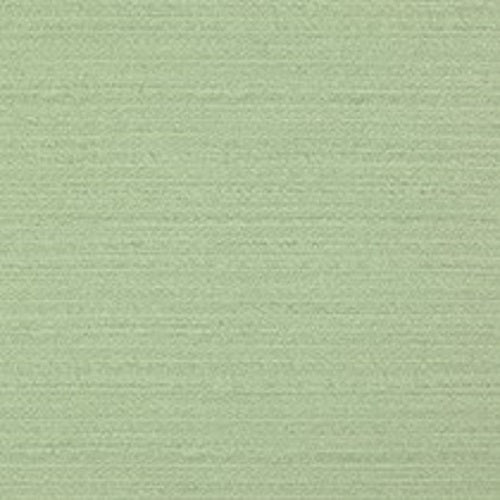 Today Interiors Java Leaf