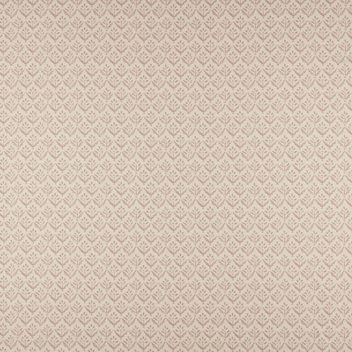 Ashley Wilde Escorca Rose