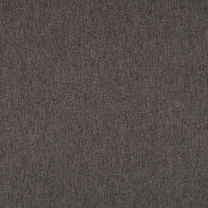 Warwick Hagar Donkey