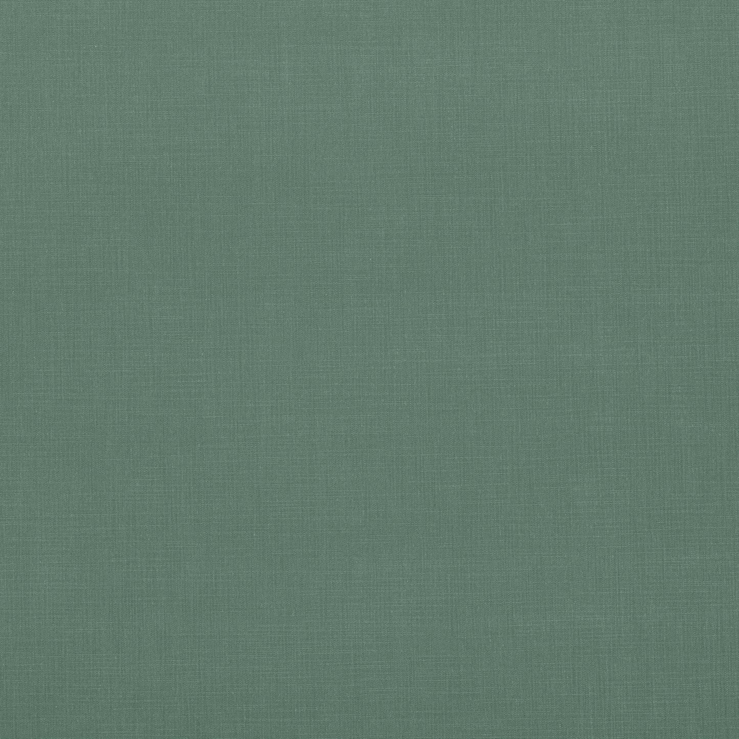 Villa Nova Seville Holly