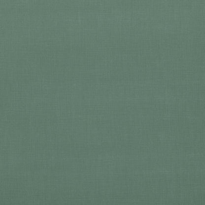 Villa Nova Seville Holly