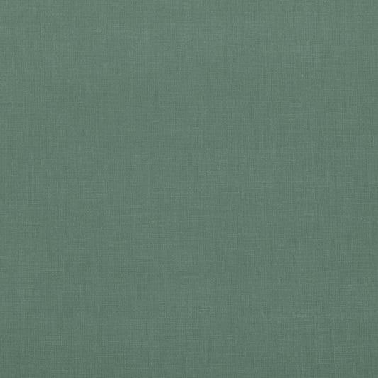 Villa Nova Seville Holly