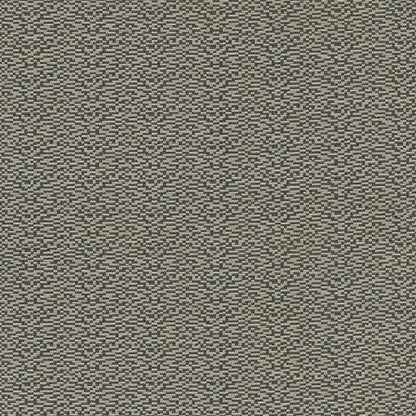 Today Interiors Dinka Carbon