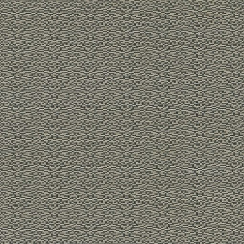 Today Interiors Dinka Carbon