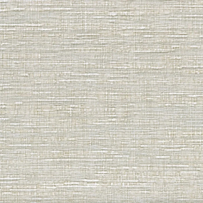 Casamance Sharpei Ivoire