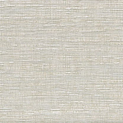 Casamance Sharpei Ivoire