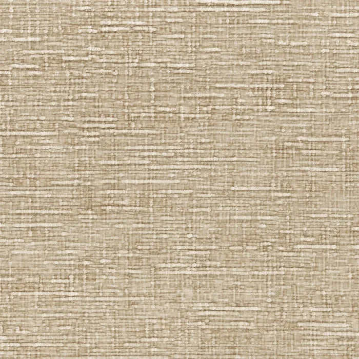 Casamance Sharpei Sable