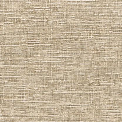 Casamance Sharpei Sable