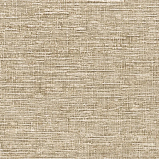 Casamance Sharpei Sable
