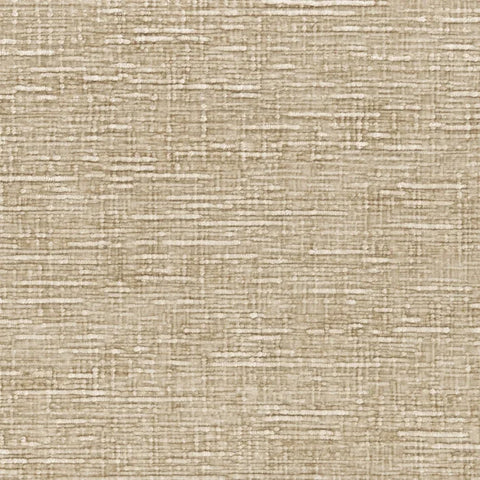 Casamance Sharpei Sable