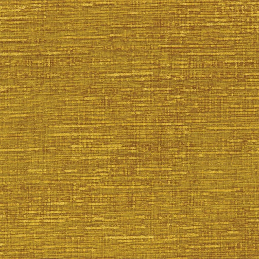 Casamance Sharpei Curry