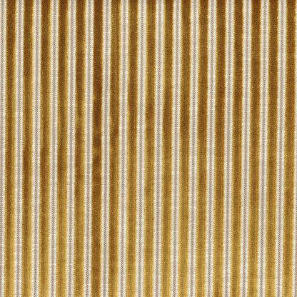 Casamance Zebu Moutarde