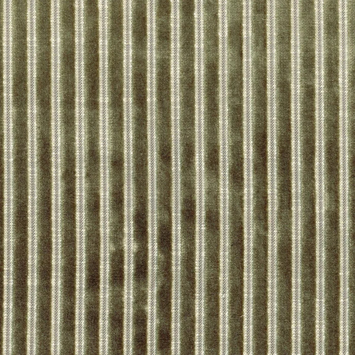 Casamance Zebu Kaki