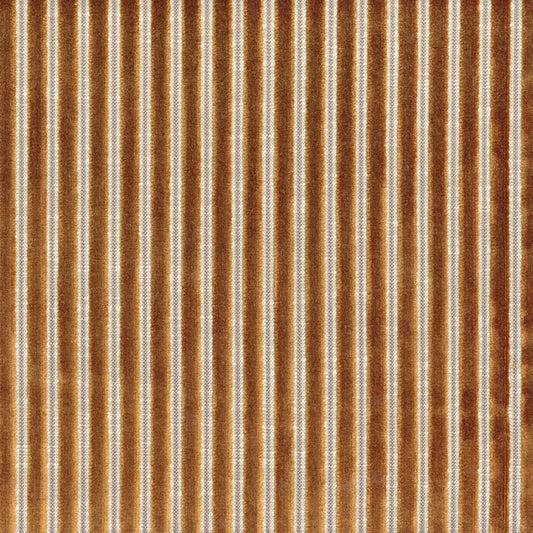 Casamance Zebu Camel