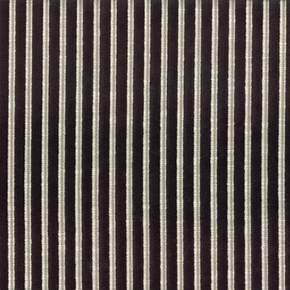 Casamance Zebu Noir