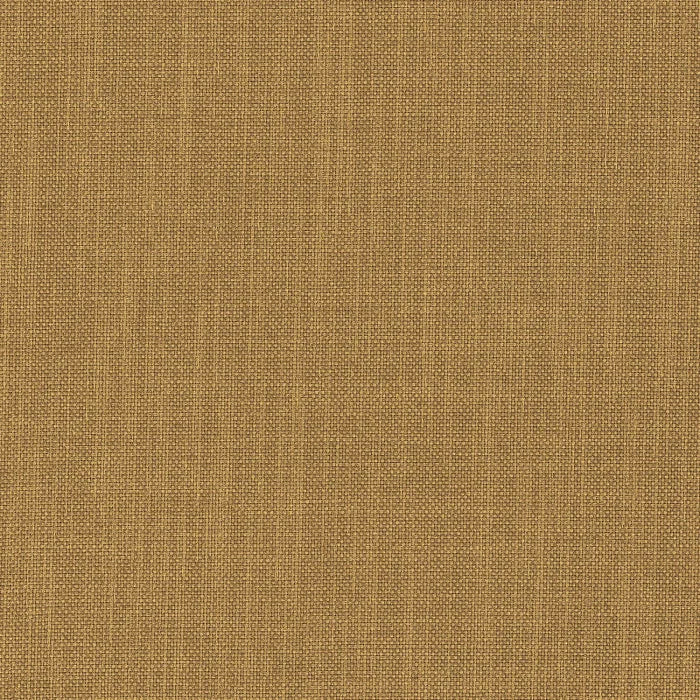 Camengo Esprit Camel
