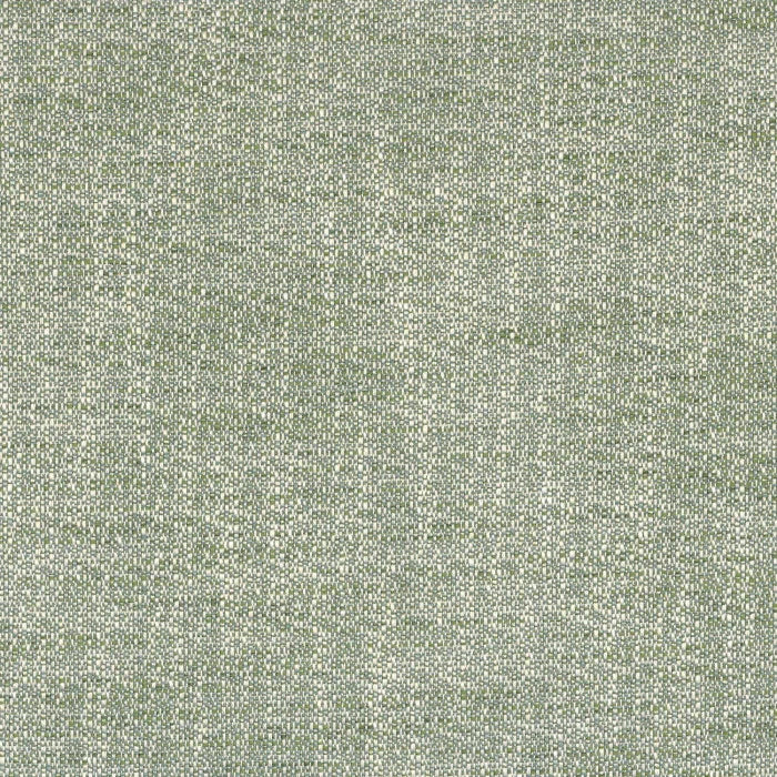 Camanego Tramea Fr Celadon