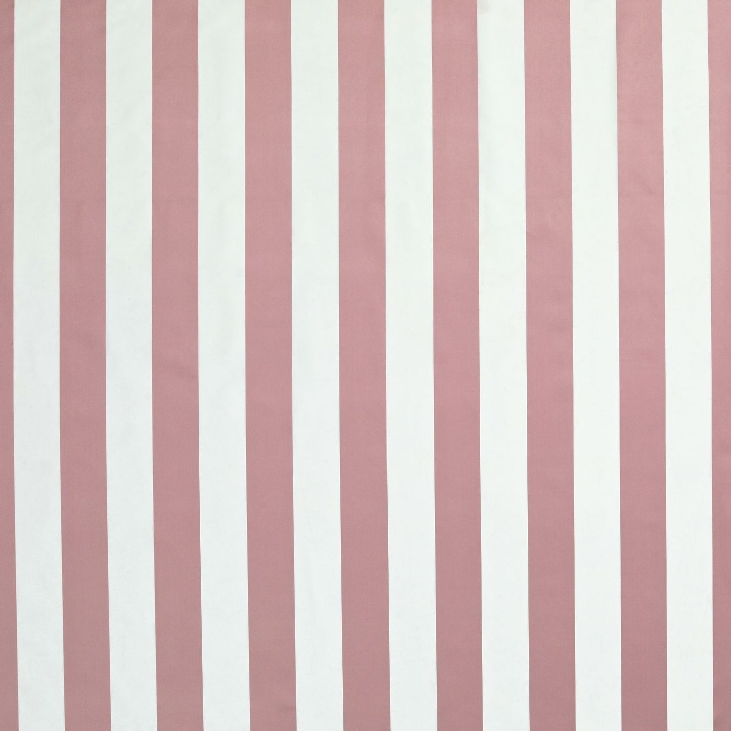 James Hare Rococo Stripe Fawn Pink