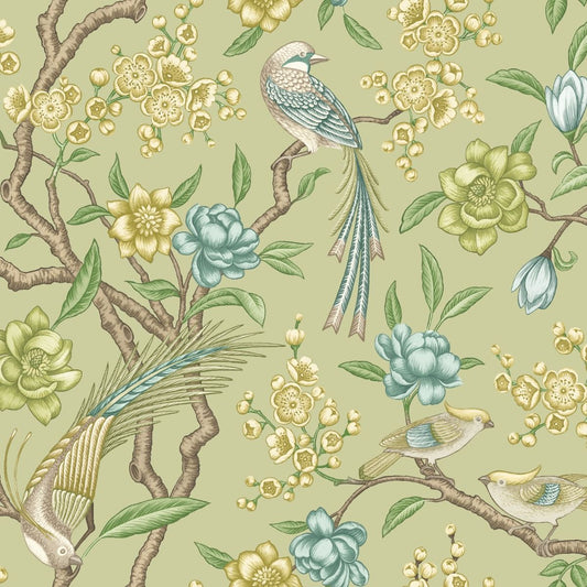 iLiv Kanra Elderfower