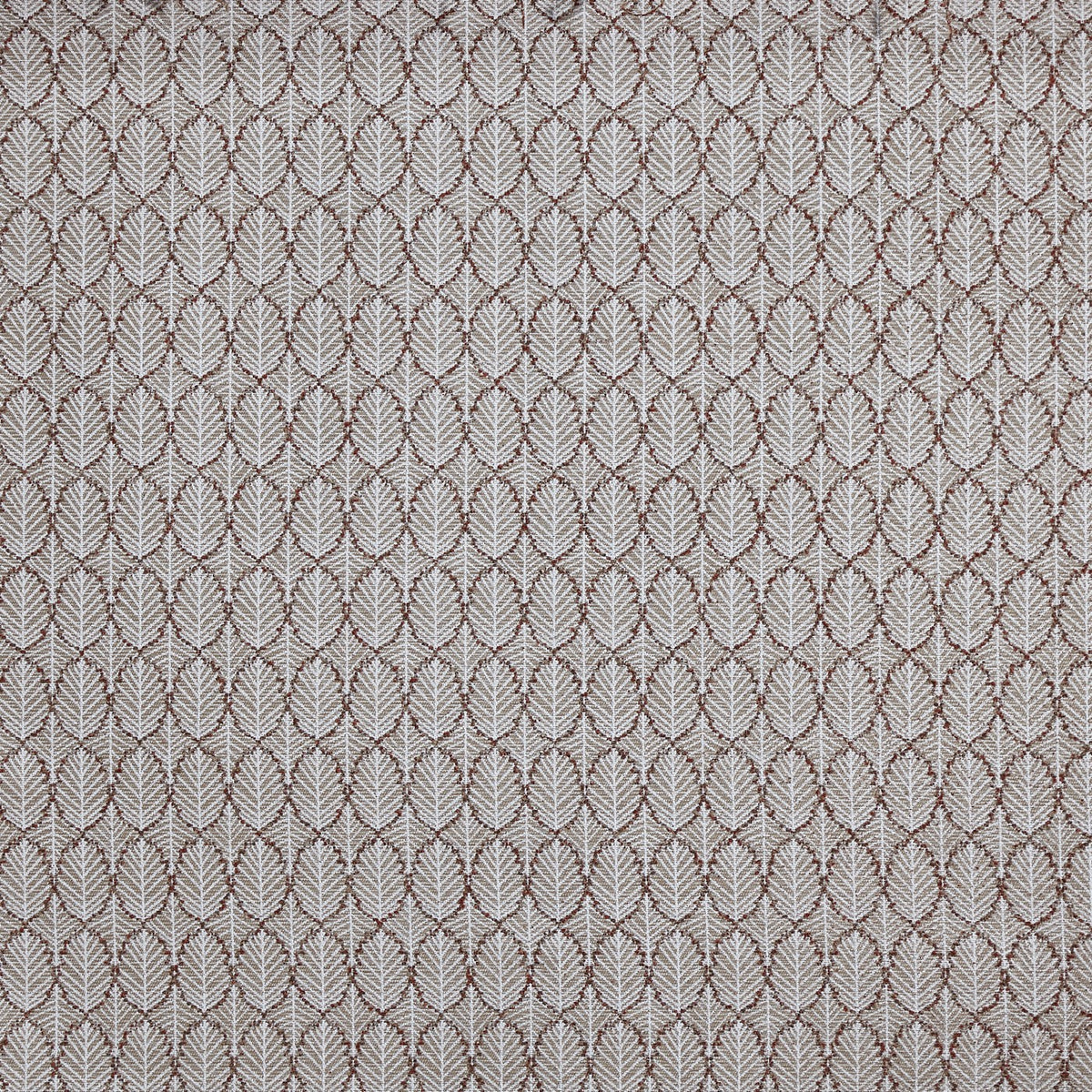 Prestigious Textiles Hickory Autumn