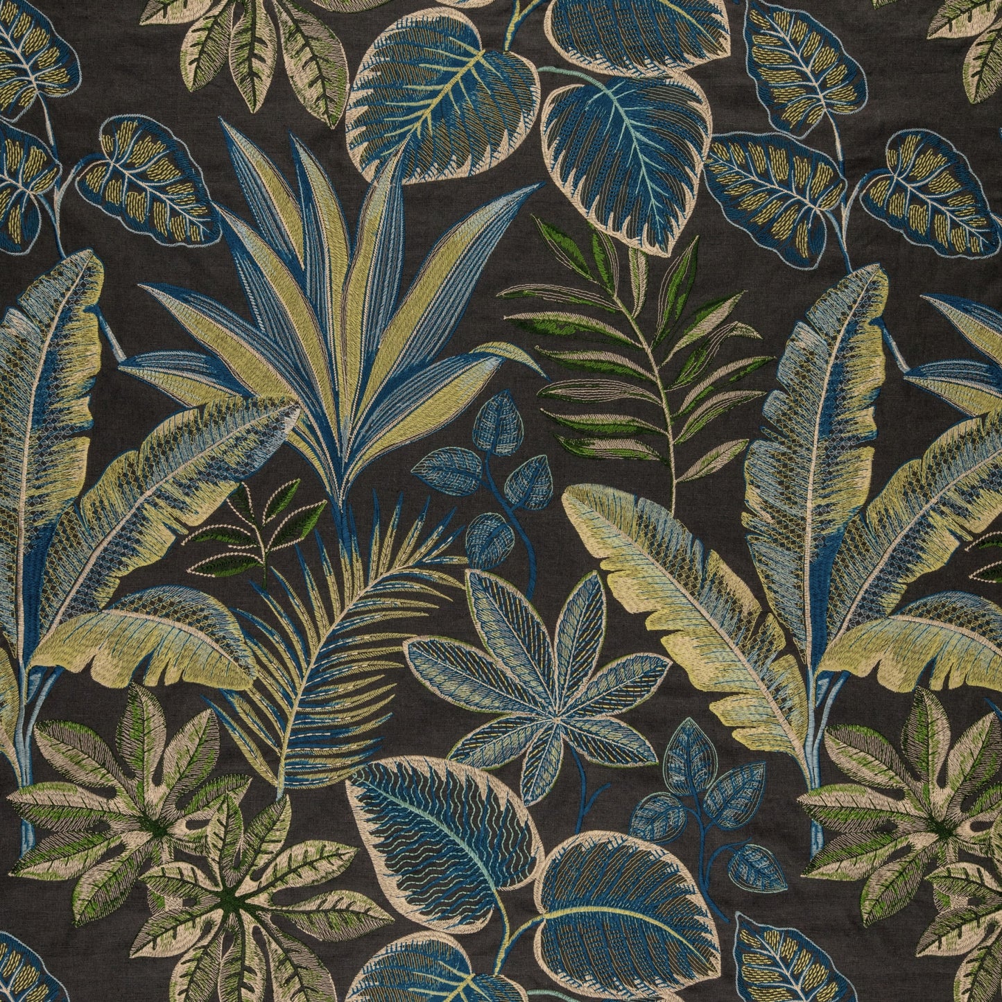Warwick Linnaeus Nightshade