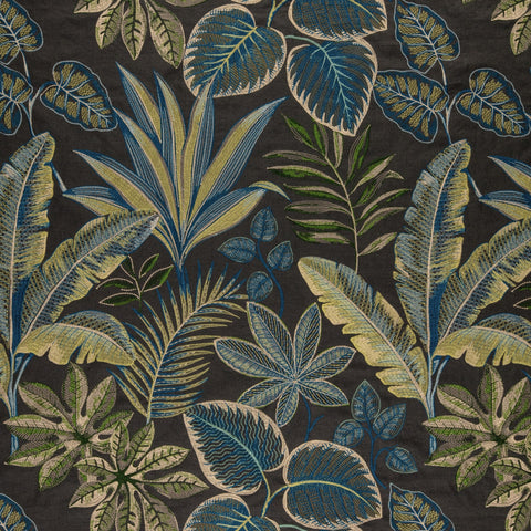 Warwick Linnaeus Nightshade
