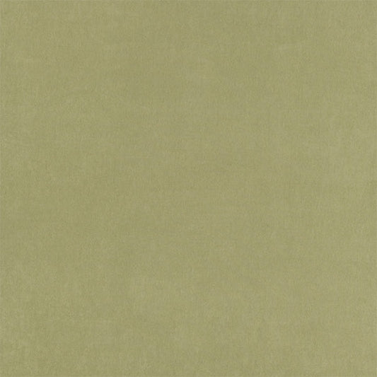 Fryetts Belvoir Recycled Pampas