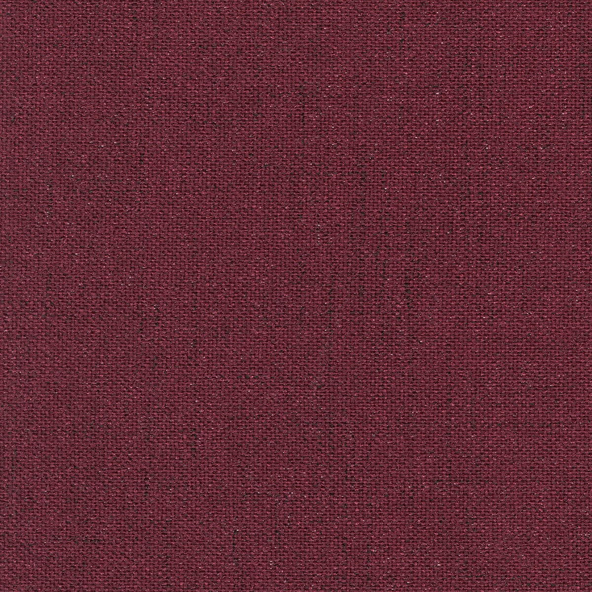 Edmund Bell Quantum Damson