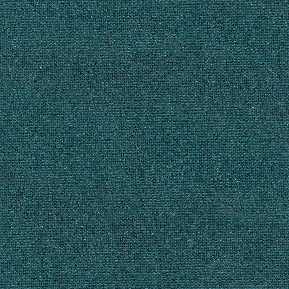 Edmund Bell Quantum Forest