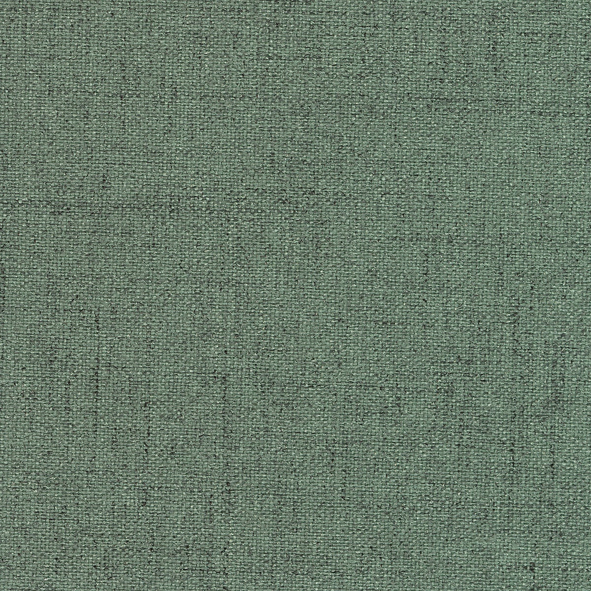 Edmund Bell Quantum Kale