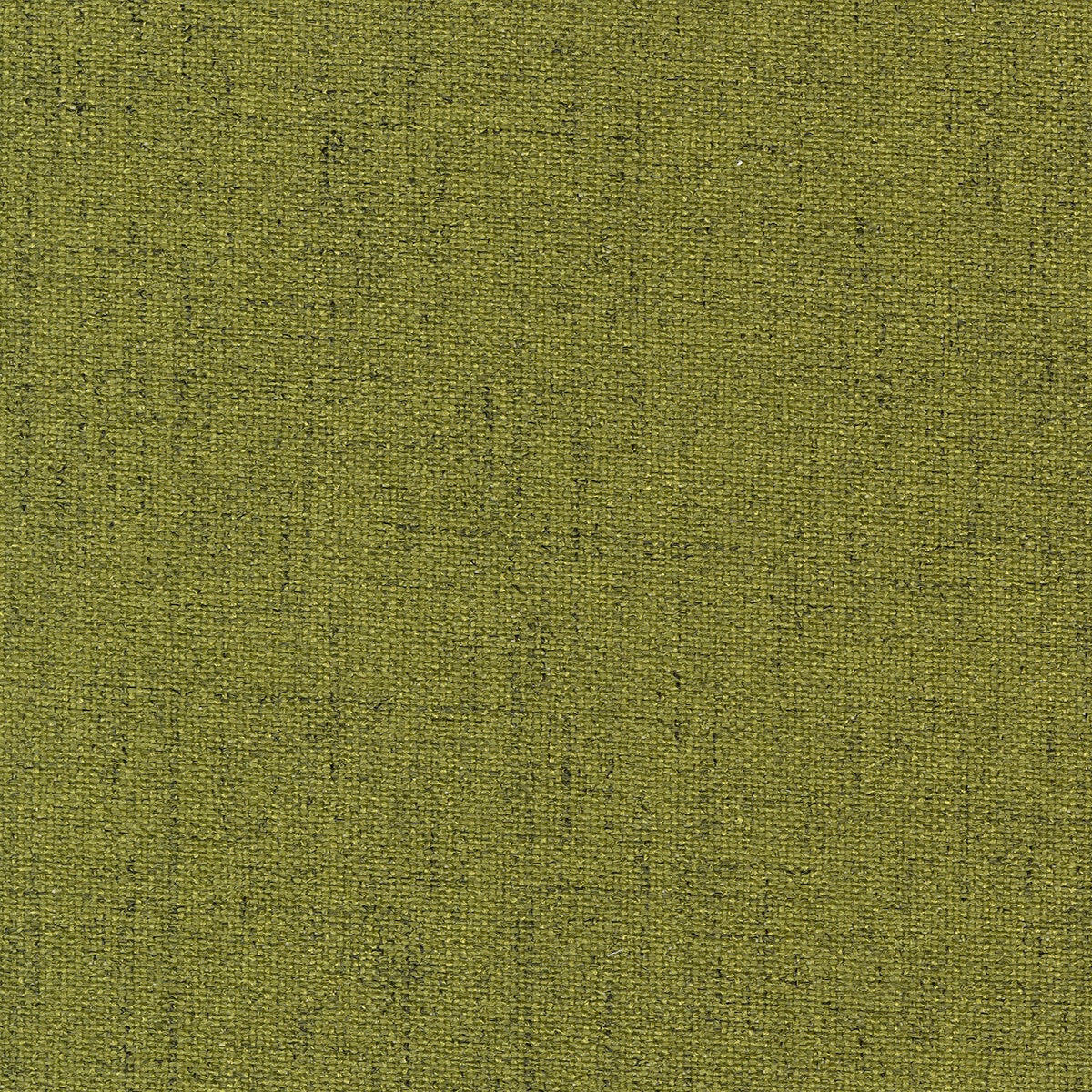 Edmund Bell Quantum Olive