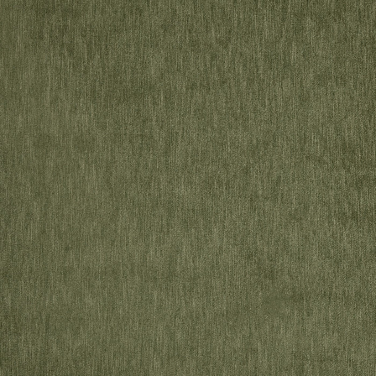 Prestigious Textiles Charlton Asparagus