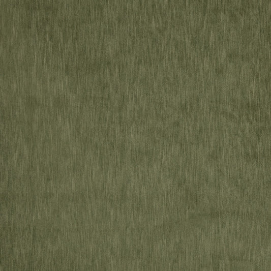 Prestigious Textiles Charlton Asparagus