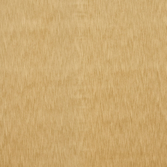 Prestigious Textiles Charlton Marigold
