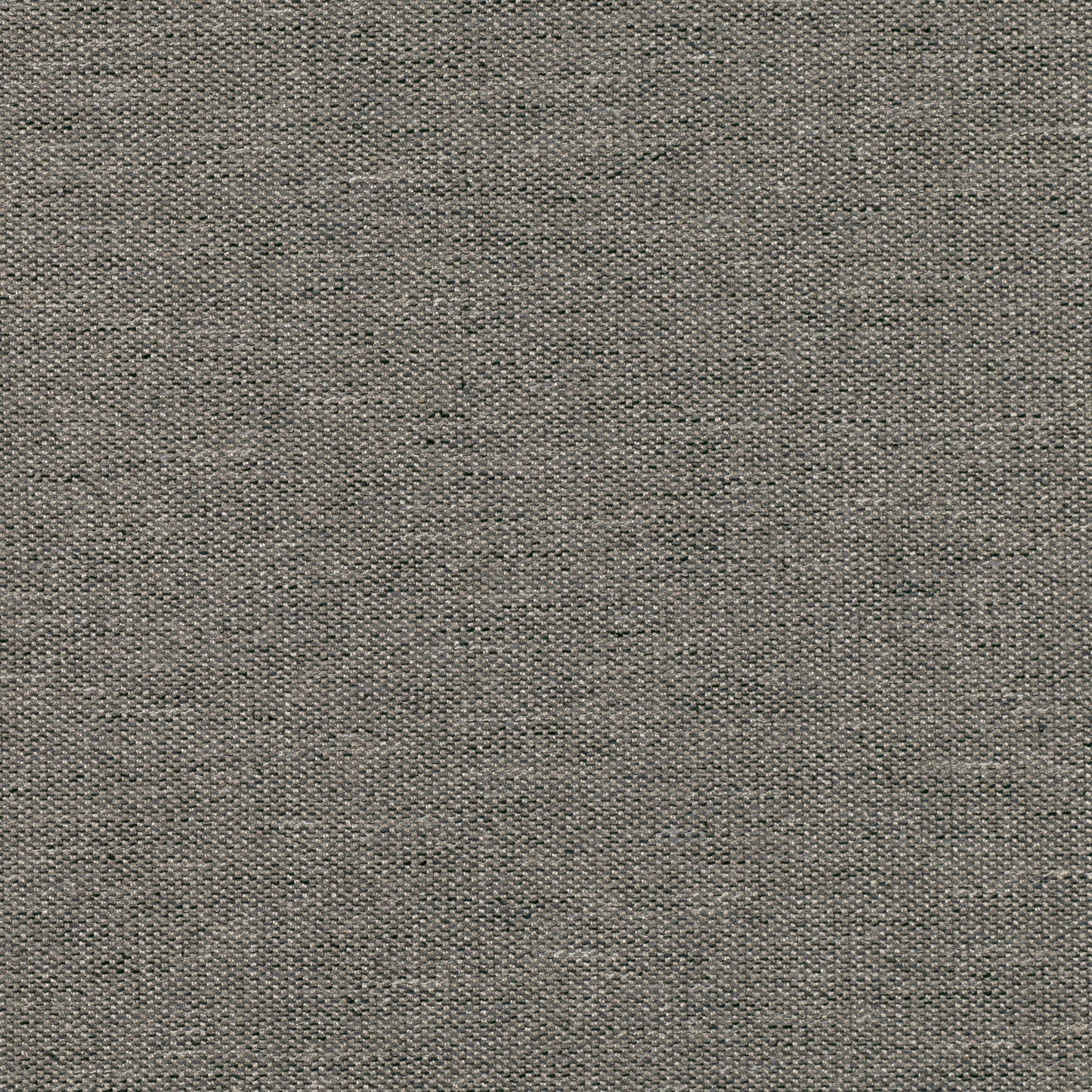 Romo Quinton Thunder