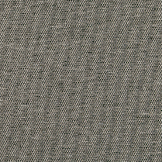 Romo Quinton Thunder