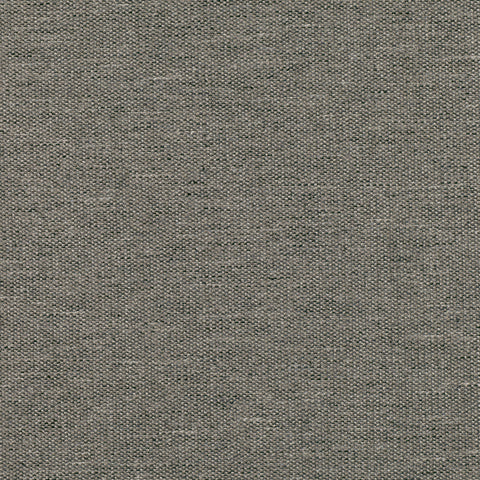 Romo Quinton Thunder