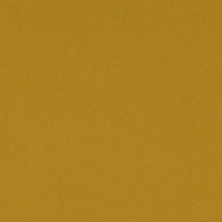 Romo Osumi Goldcrest